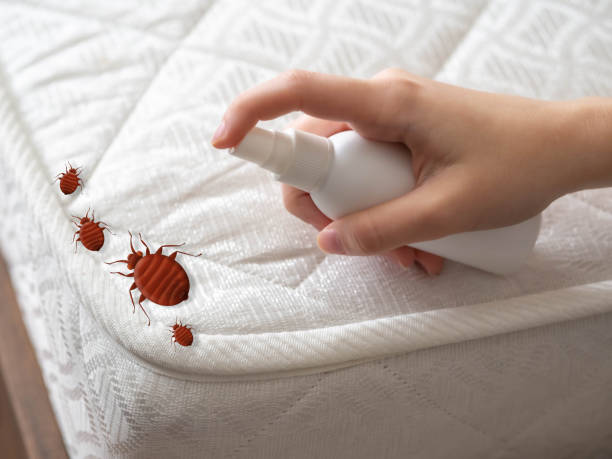 Professional Pest control in Midland, NC